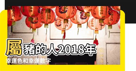 1971豬幸運色2024|【屬豬 顏色】速查2024屬豬運勢指南：幸運色、財位、禁忌